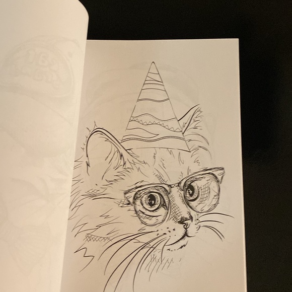 🆕 Cats with Hats Color Creatives Coloring Book for a Perfect Day New - Picture 8 of 11